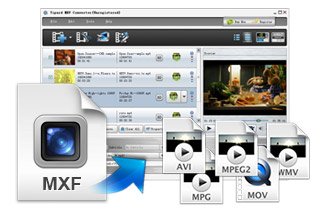 video converter